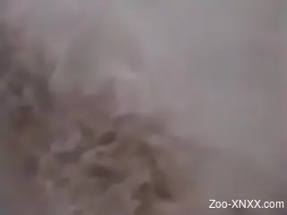 Zoophile will never stop until the animal cums