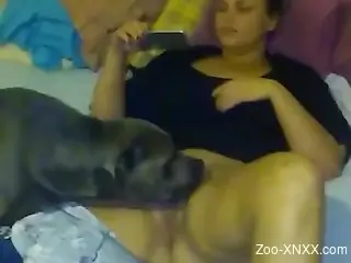 Fat zoophile lady getting licked by an attentive dog