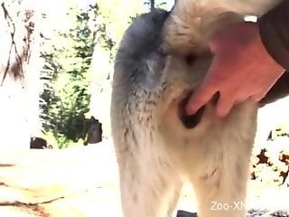 Dude fingering that animal pussy before fucking it hard