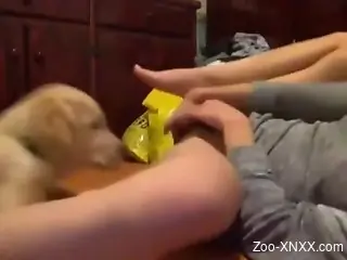 Wet pussy zoophile getting licked by a sexy dog