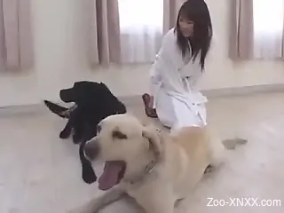 Awesome doggy fuck with a Japanese zoo enthusiast