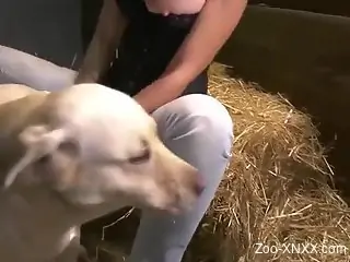 Farmer girl fucking all kinds of animals for the cam
