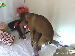 Ebony zoophile fucks her rabid dog on Christmas