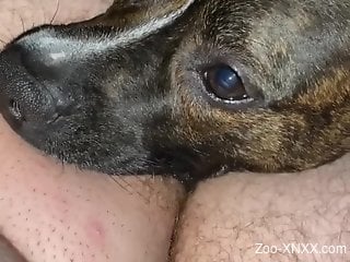 Amazing close-up oral with a really sexy beast