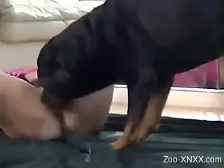 Leggy lady with a wet pussy enjoys savage dog sex
