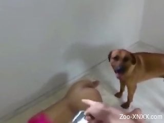 Ebony chick with purple hair gets fucked by a dog