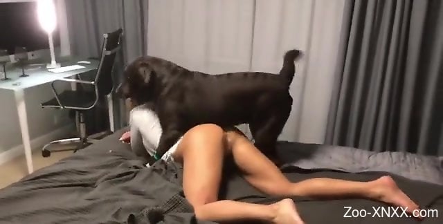 Xxnxx Dog - Phat booty housewife dares the dog to fuck her