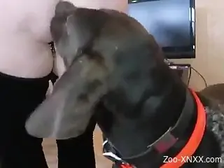 Tatted up lady with sexy lips wants that dog to ruin her