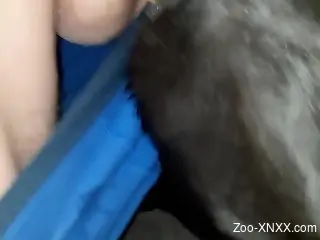 Wonderfully shot zoophile gape video with a dog