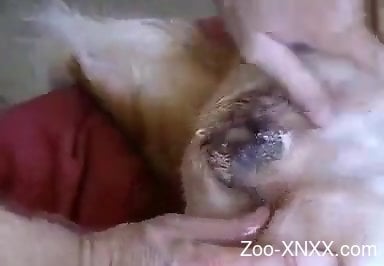 Dude fingering a dog