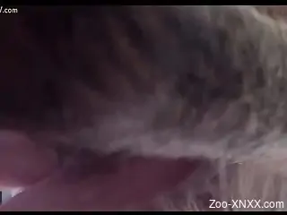 Really nice zoophilic booty fucked by a dirty dog