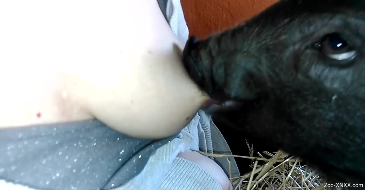 Sexy animal sucking on her nipples for some reason