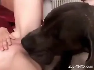 Nude sexy amateur woman licked by the dog during solo cam XXX