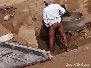 Man filmed ass fucking a cow in broad daylight