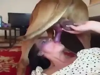 Dirty women are having a wild time sucking dog dicks in excell...
