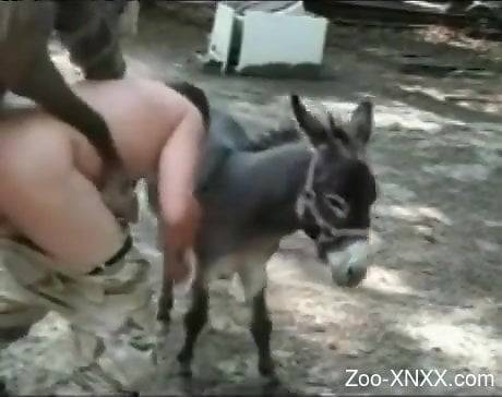Donky And Grel Sax - Donkey watches this chubby zoophile fucking a horse
