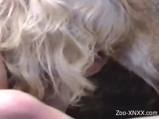 Blonde MILF tries dog dick in the mouth for the first time
