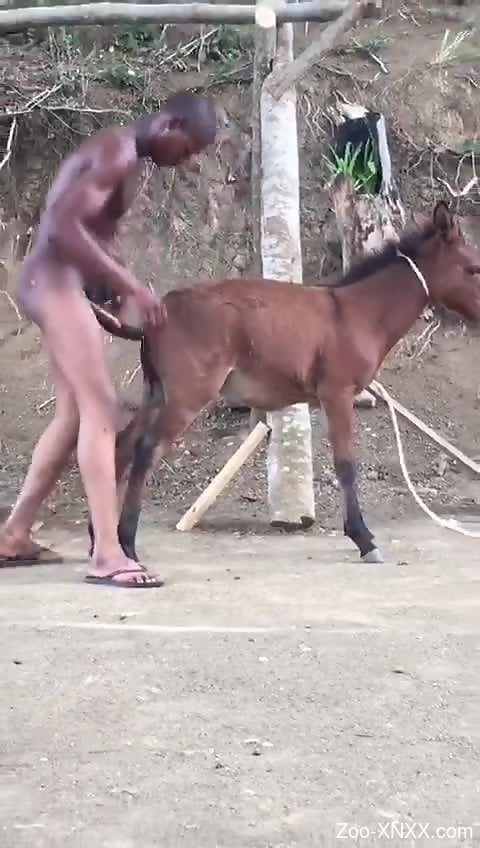 Donkeymansex - Naked black dude ass fucks donkey in amateur outdoor XXX