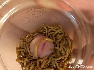 Horny dude sticks dick into a jar full of worms