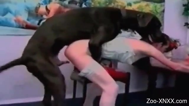 Black Dog Sexy Video - Hot lady in a sexy outfit is fucking a black dog