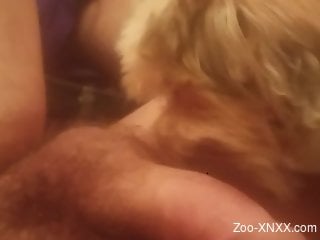 Hairy penis dude is getting licked by a canine cocksucker