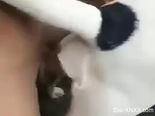 Dude with a nice penis is pounding that dog from behind