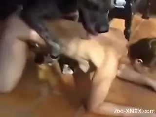 Slim zoophile babe arching her back during zoo sex