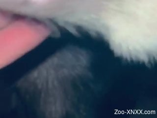 Really incredible porno movie with a zoophile creep