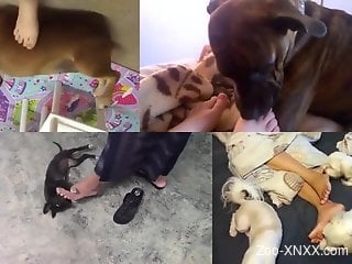 Foot fetishist dog featured in a hot compilation video