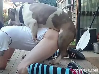 Amateur nude gay male dog fucked at home while on cam