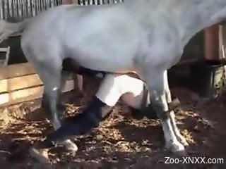 Aroused zoophilia porn lover trying horse penis in the ass