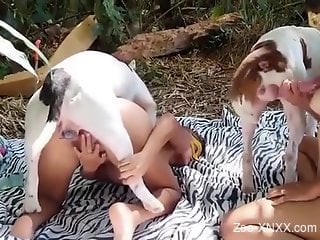 Tanned babes share dog dick in outdoor nature XXX