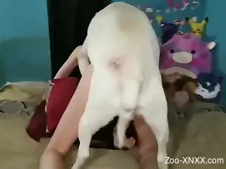 White dog pounding a leggy girl with legs spread