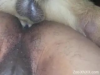 Bitches be wildin' in a scene with a buttfuck slut