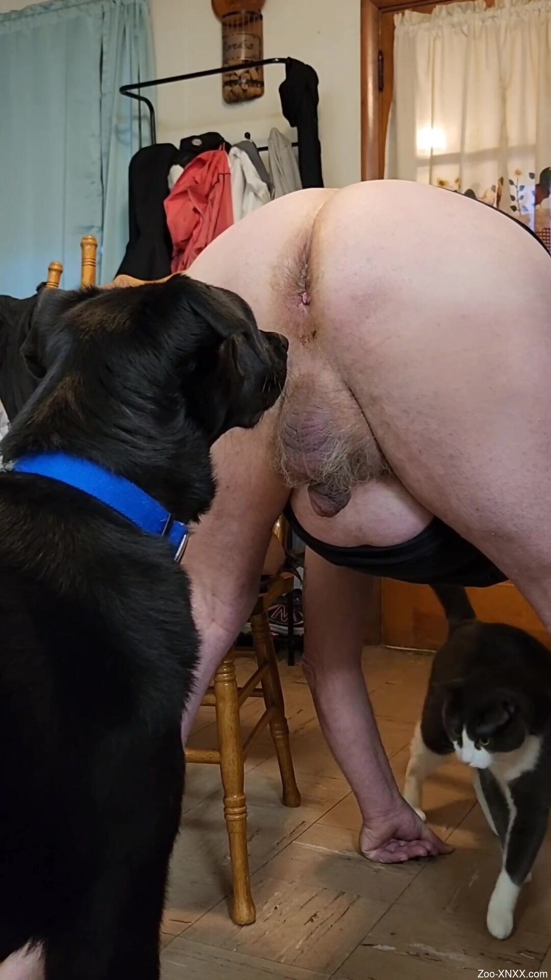 Www zoo xnxx com