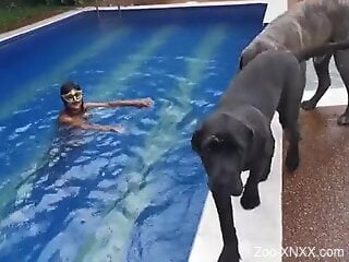 Poolside seduction and hardcore love with dog