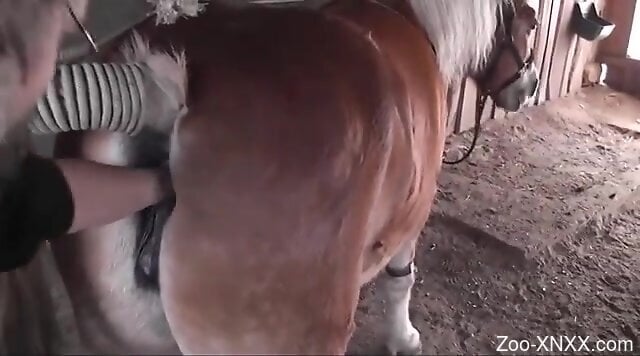 Xnxn Horse - Man fist fucks horse's wet pussy during intense zoo cam scenes