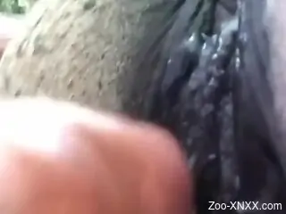 Dude using his meaty penis to explore a pussy