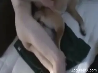 Adorable dog getting fucked sideways by hard cock