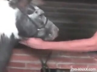 Dude fisting a mare to make that mare orgasm