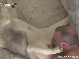 Man fucks furry dog in the pussy and comes inside it