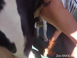 Aroused chick tries endless horse dick in her shaved muff