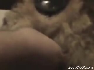 Man fucks furry dog in homemade zoophilia scenes