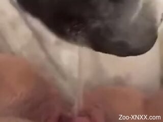 Aroused woman loves the dog licking her muff and ass