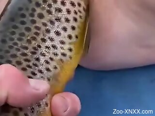 Amateur woman fucked with a dead fish in dirty scenes