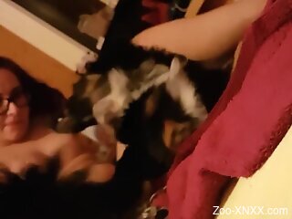 Sexy female lets curious mutt lick her pussy and ass