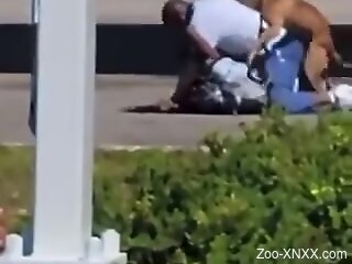 Man gets filmed in public getting boned by a stray dog