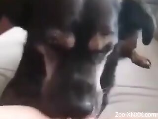 Aroused woman loves her dog licking her pussy in the morning