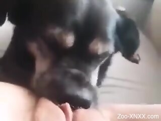 Aroused woman loves her dog licking her pussy in the morning