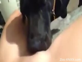 Curious dog makes horny woman come after licking her cunt